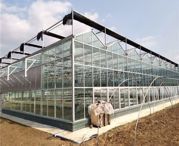 玻璃溫室骨架施工