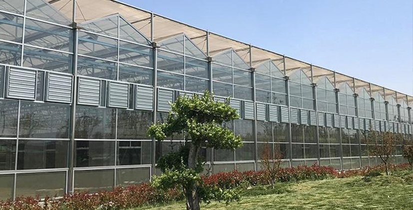 多年專(zhuān)注溫室大棚骨架生產(chǎn)