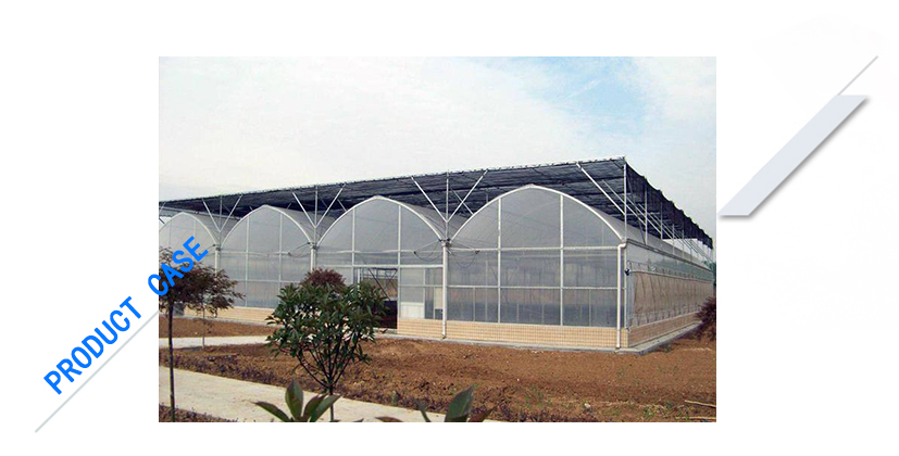 我們始終堅(jiān)持全程技術(shù)服務(wù)