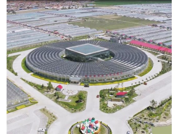 溫室大棚的發(fā)展依托哪些條件？