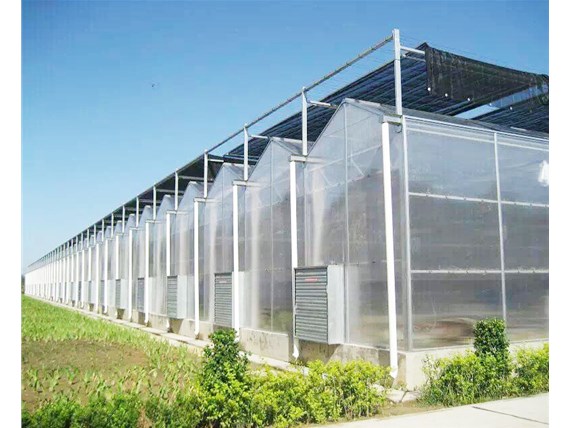 溫室大棚在嚴寒天氣應該怎么處理？