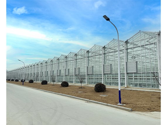 溫室大棚的優(yōu)點(diǎn)有哪些