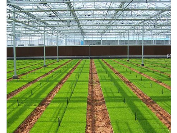 溫室骨架大棚應(yīng)用于什么領(lǐng)域？