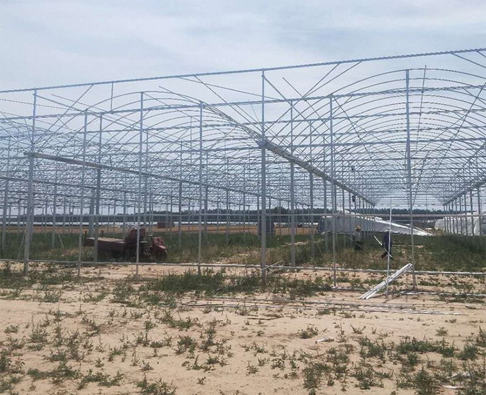 連棟薄膜溫室骨架廠