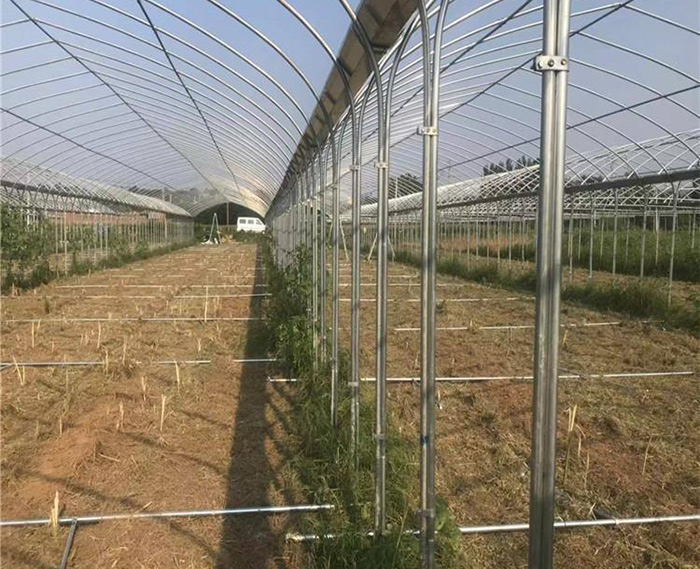 連棟薄膜溫室骨架
