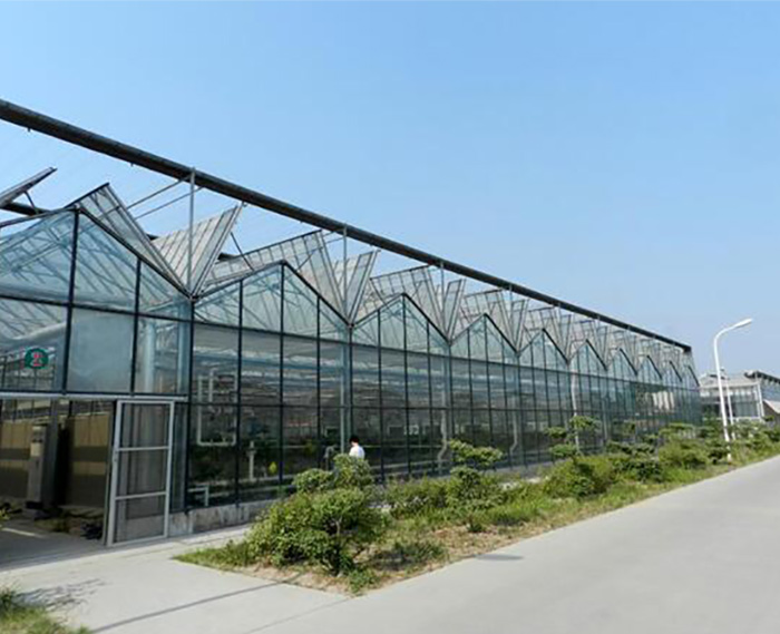 玻璃連棟溫室大棚
