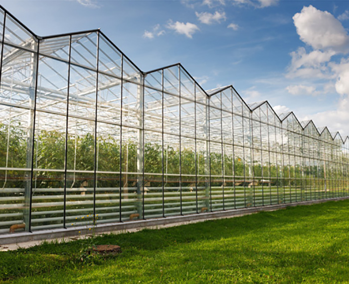 玻璃溫室大棚