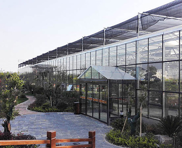 新型溫室大棚