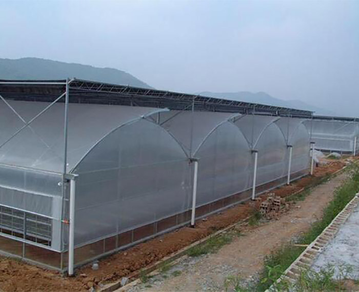 連棟溫室