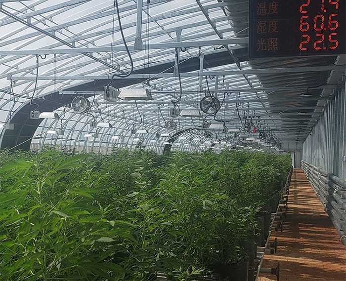 日光溫室大棚骨架