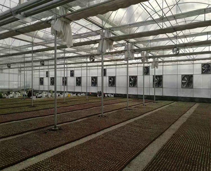 陽光板溫室骨架廠