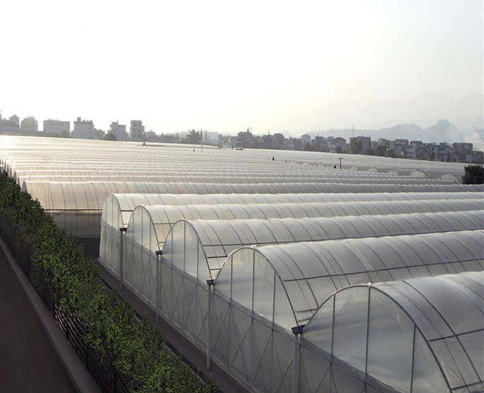 薄膜連棟骨架廠