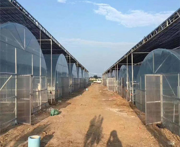 智能陽(yáng)光板溫室骨架