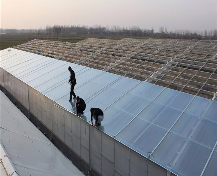 陽光板大棚骨架廠