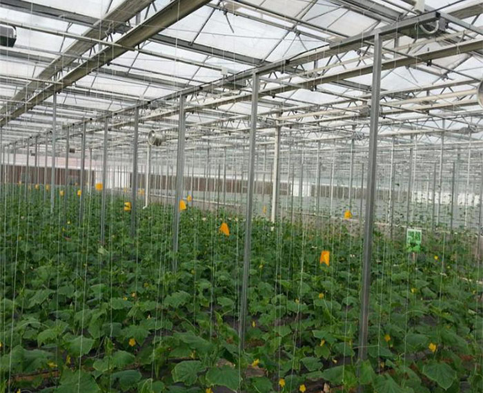 陽光板大棚骨架