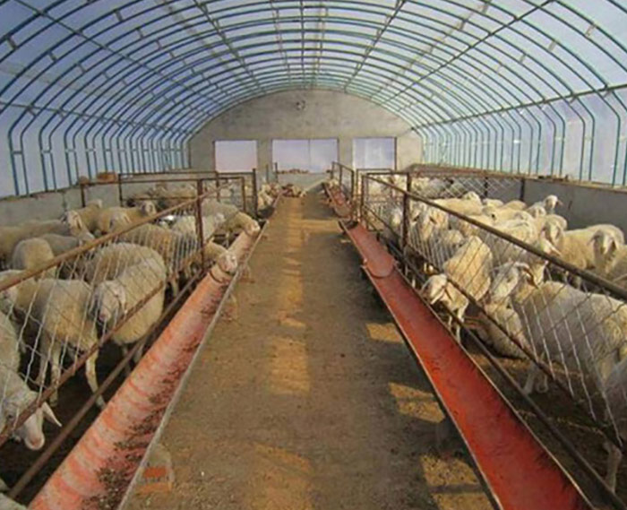 溫室養(yǎng)殖大棚