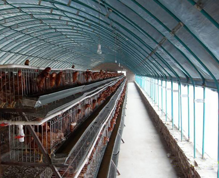 養(yǎng)殖溫室大棚