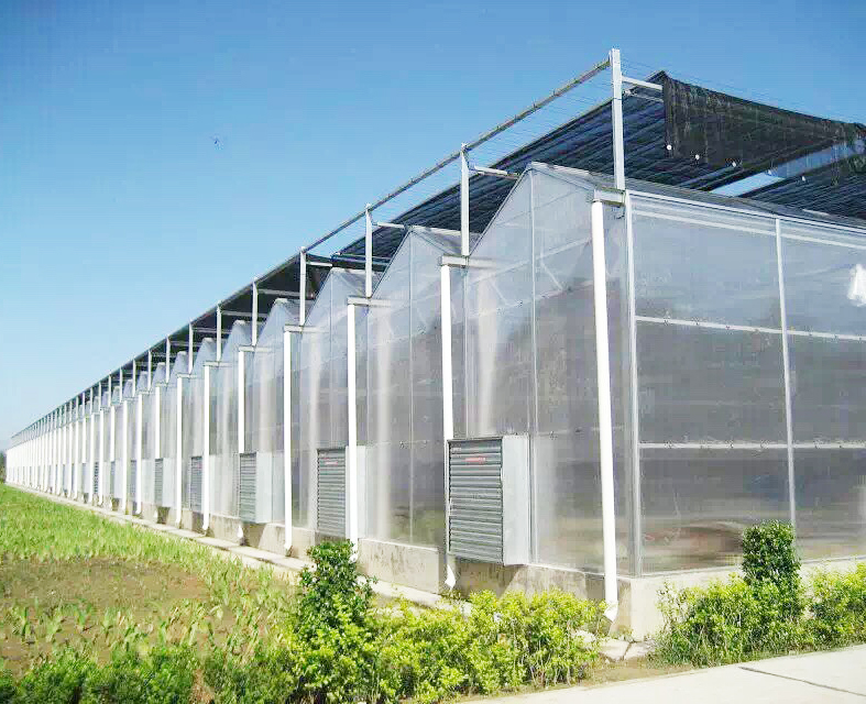 陽(yáng)光板溫室骨架