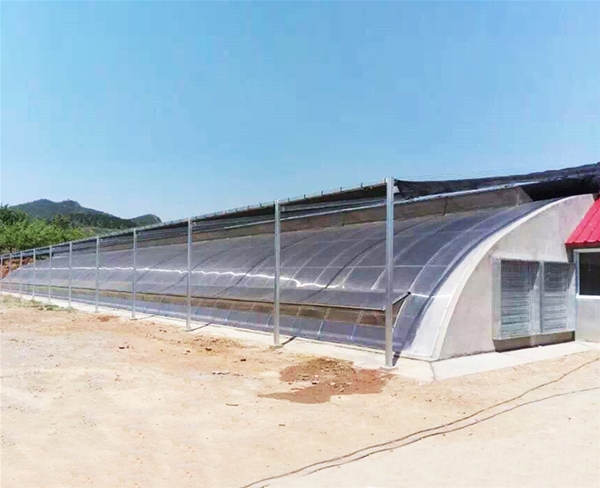 種植溫室骨架廠