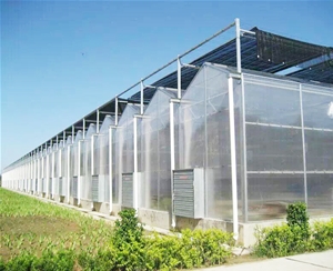 陽(yáng)光板溫室骨架